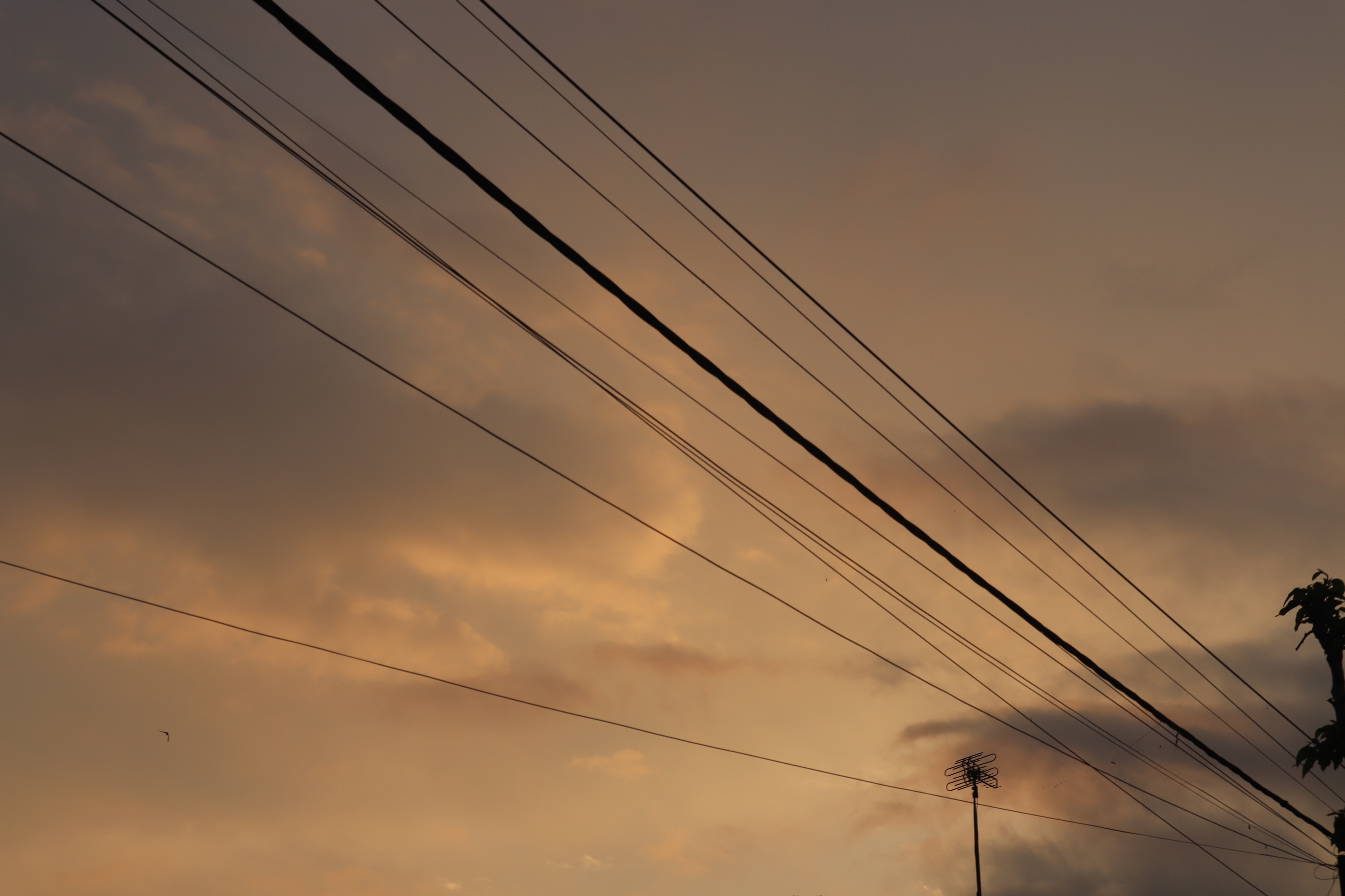 Rensa photo inspiration 3